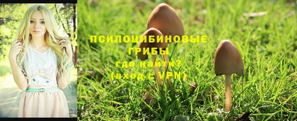 jwh Алзамай